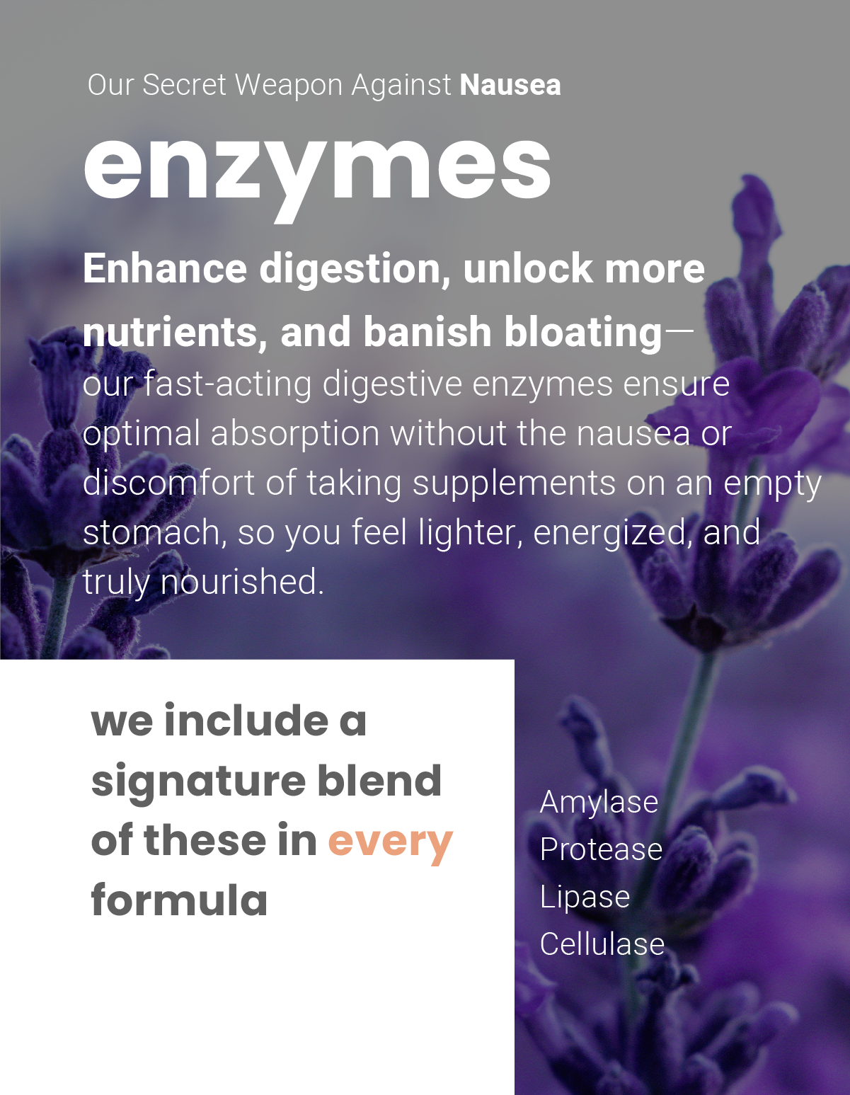 enzyme blend enchance digestion and absoprtion of supplements and nutrients in every formula by Yunani Life