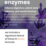enzyme blend enchance digestion and absoprtion of supplements and nutrients in every formula by Yunani Life