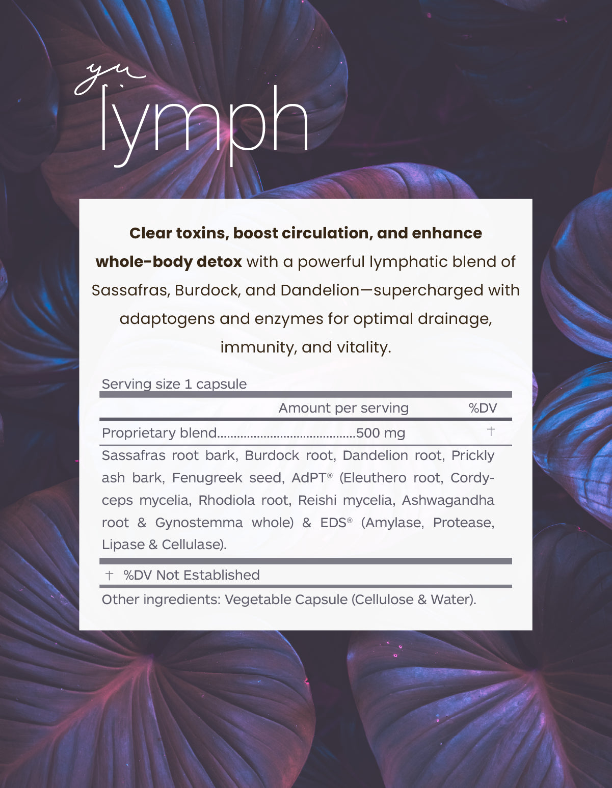 yu-CLEAN full-body detox supplement for women – liver, gut, and lymph cleanse